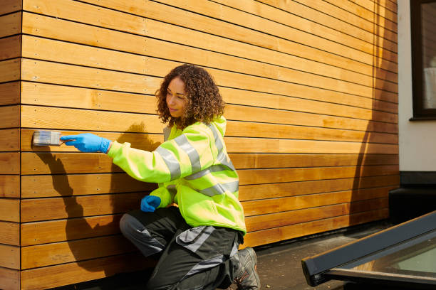 Affordable Siding Repair and Maintenance Services in Algonquin, IL